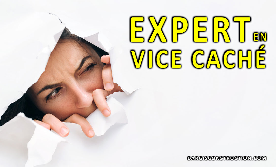 Expert ingénieur en vice caché structure, civil, géotechnique, sol, drain, fondation, électrique, plomberie, chauffage, ventilation