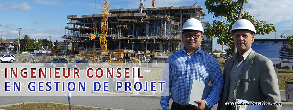 ingenieur conseil en gestion de projet