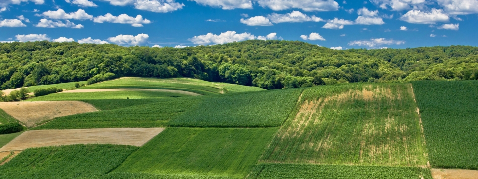 terrain-a-vendre-montreal-investisseur-autoconstruction